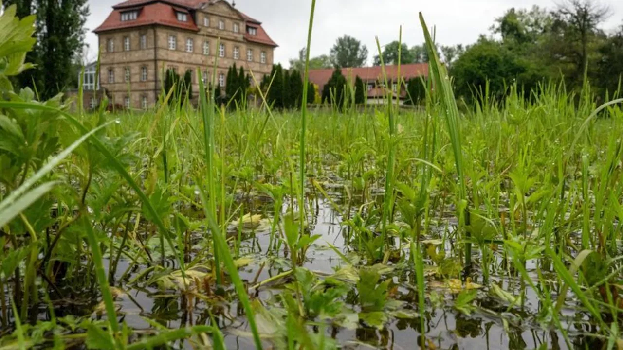 Schwaben und Oberbayern: Wasserstände steigen bei Dauerregen: Erster Katastrophenfall