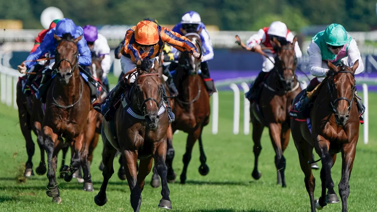 The 12 best tips for the 2024 Derby and Saturday’s full racing card at Epsom