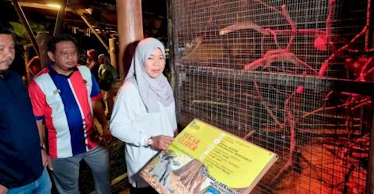 Melaka Zoo targets 5,000 visitors in ‘Melaka Nightlife’ programme