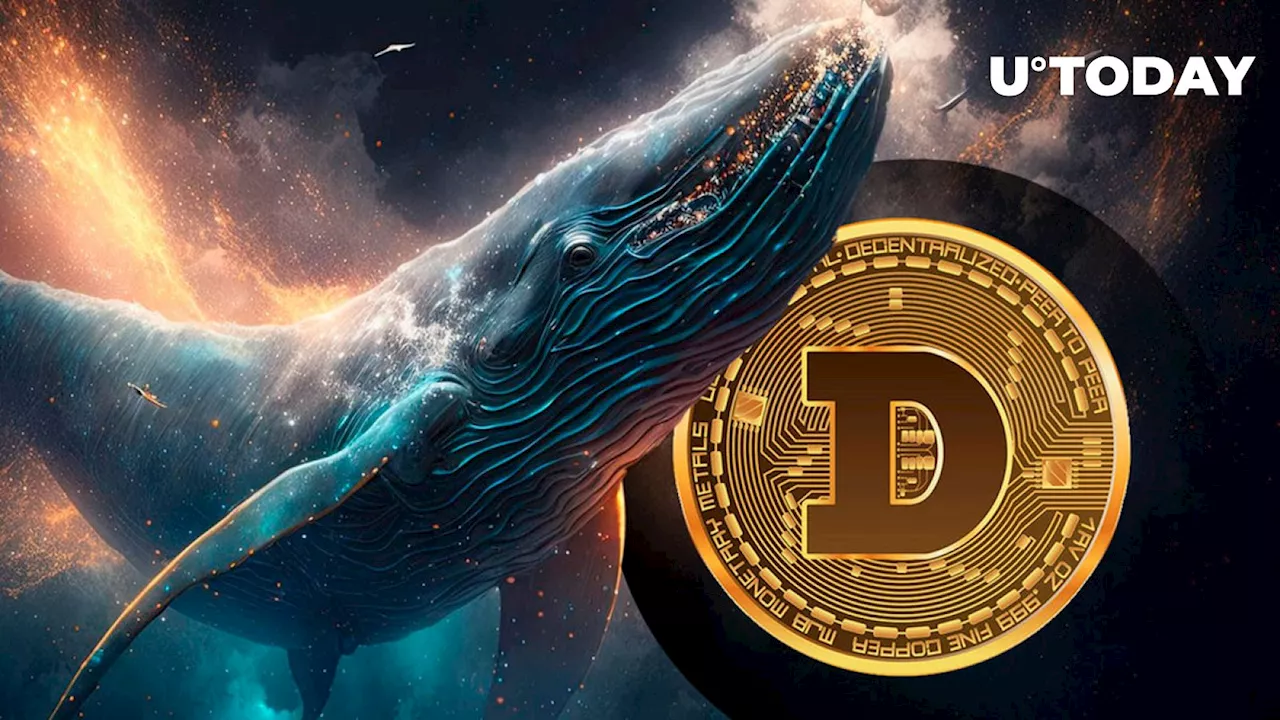 700 Million Dogecoin (DOGE) in 72 Hours, Whales Finally Awake