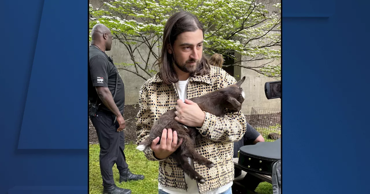 Between sound checks, famous musicians play with goats at Blossom Music Center