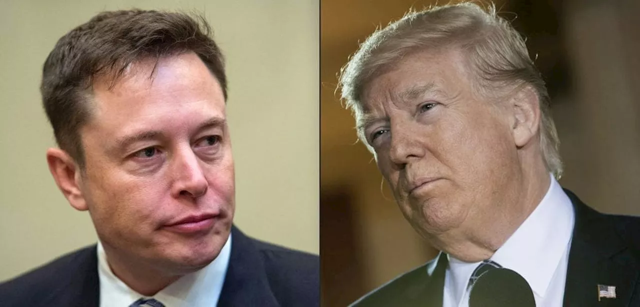 Elon Musk se reunirá con Donald Trump y transmitirá la conversación en directo