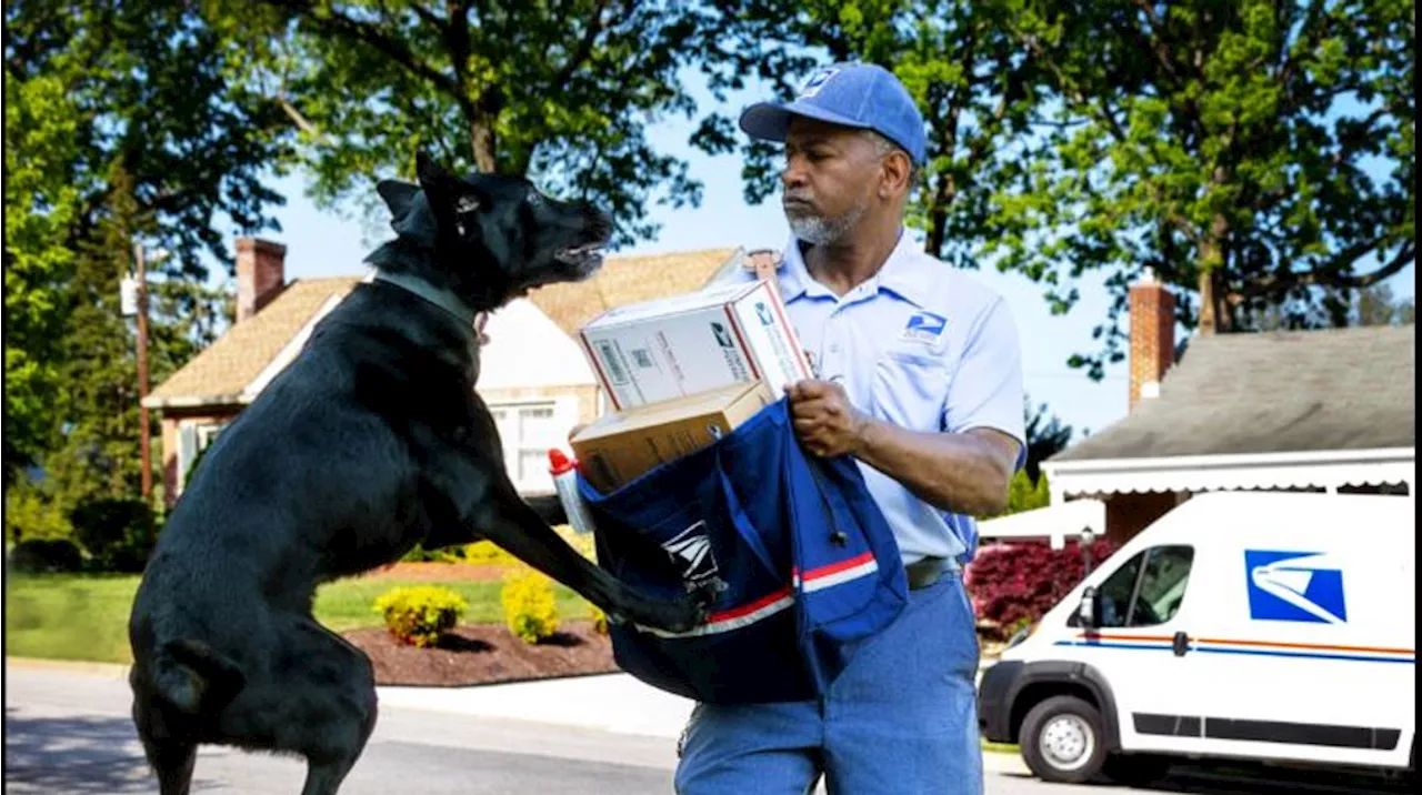 U.S. Postal Service names worst cities for dog bites; here's where Columbus ranked