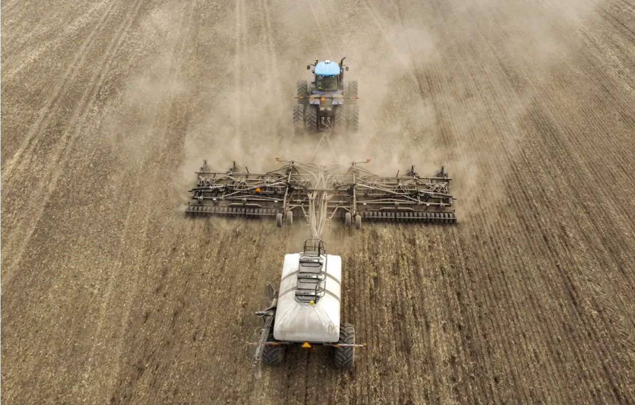 Spring rains welcome, but drought risk lingers in Western Canada