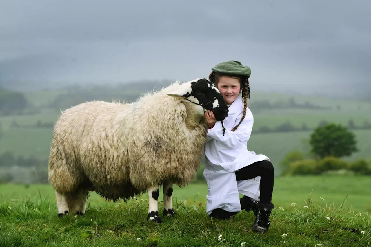  the seven-year-old 'sheep whisperer' from Yorkshire