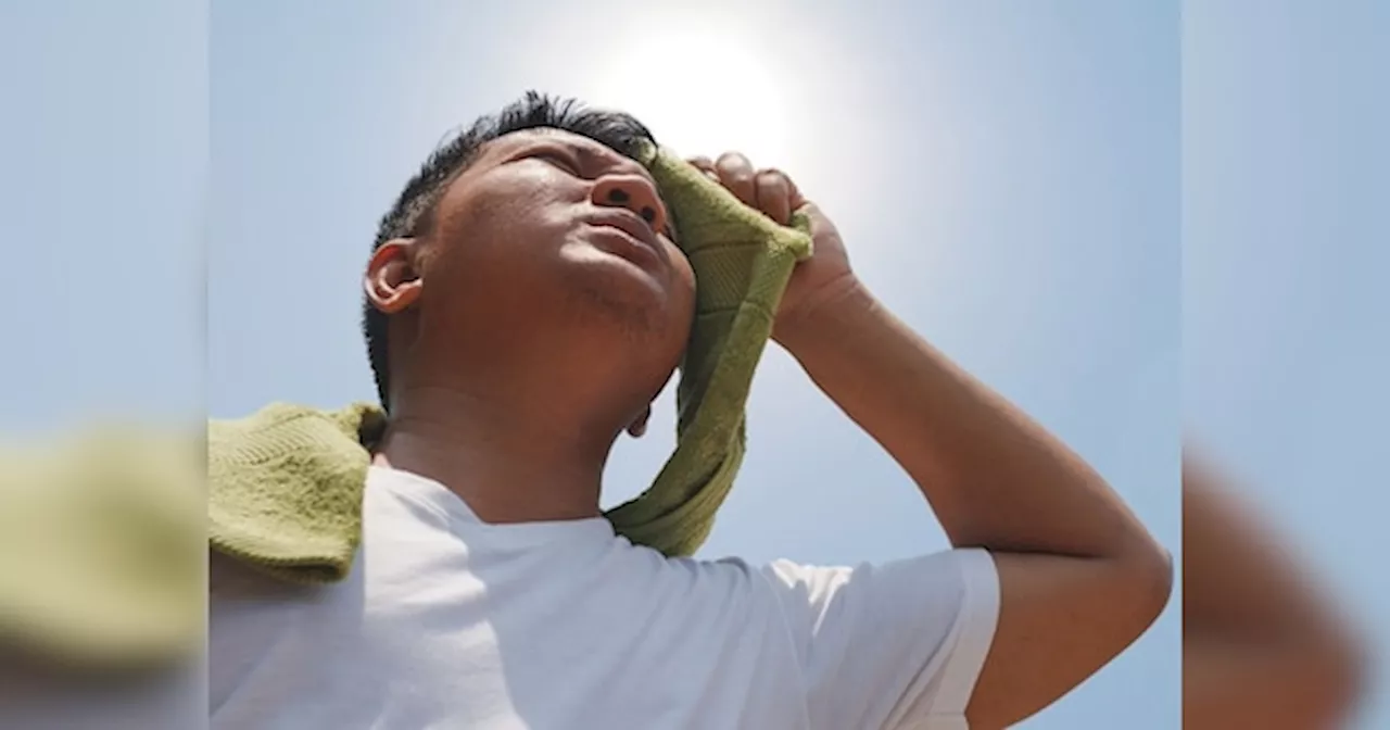 Heat Stroke: इलेक्शन ड्यूटी में तैनात मतदानकर्मियों की मौतें बनी चिंता का विषय, भीषण गर्मी में कैसे करें अपनी सेहत का ख्याल?