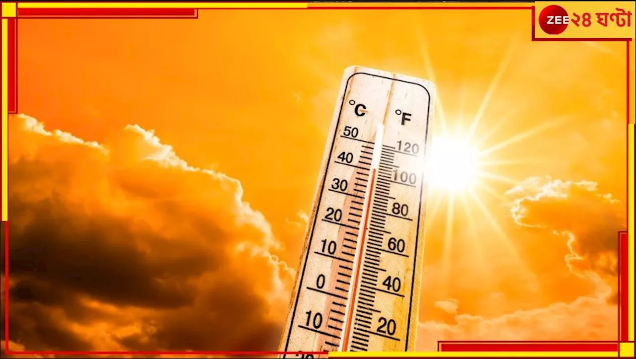 Severe Heatwave: আগুনের গোলা উত্তরপ্রদেশ-বিহার, তীব্র গরম-তাপপ্রবাহে ১০ ভোটকর্মী সহ মৃত কমপক্ষে ২০০!