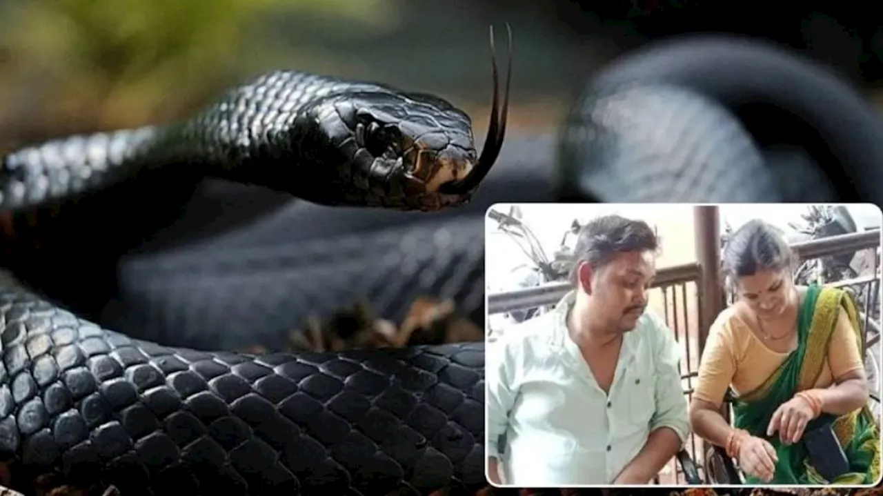 Snake bite: పగ పట్టిన పాము..?.. ఆరేళ్లలో ఆరుసార్లు కాటుకు గురైన మహిళ.. అసలు స్టోరీ ఏంటంటే..?