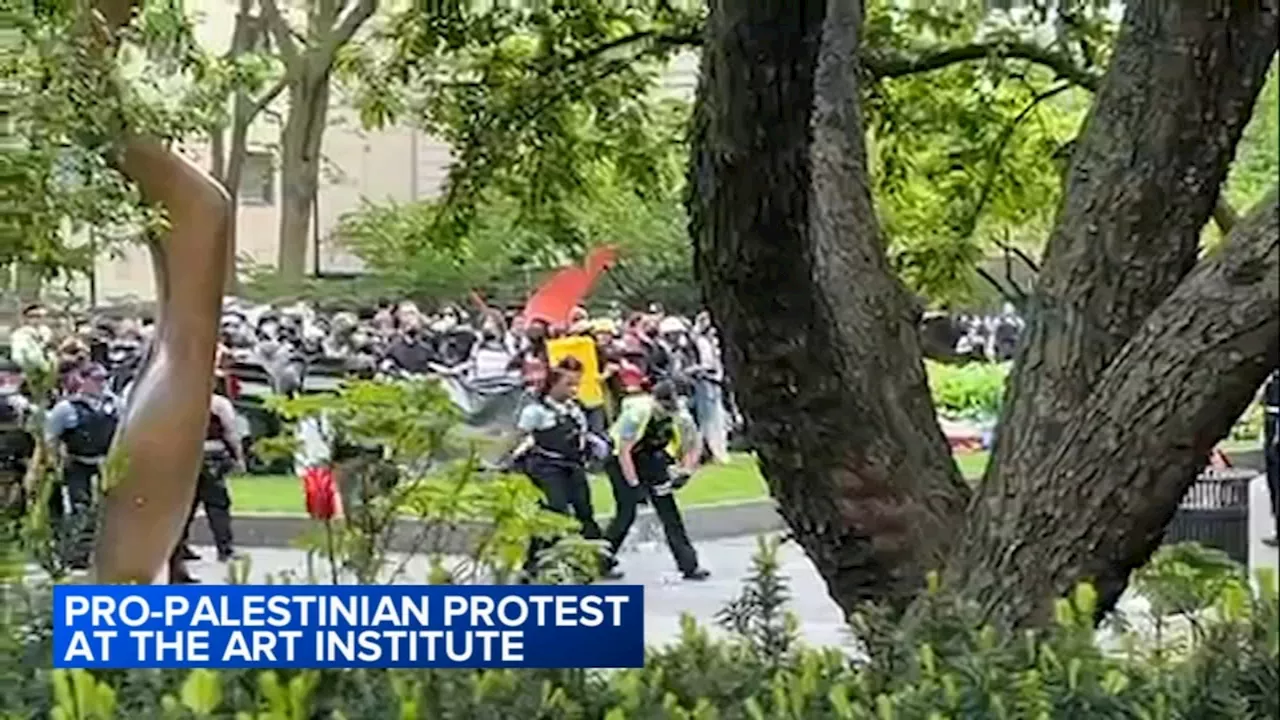 Pro-Palestinian protest held at the Art Institute of Chicago