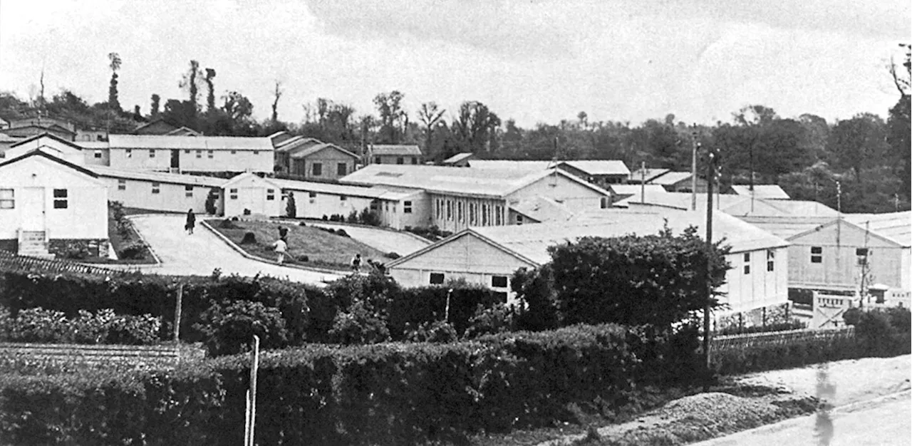 80e anniversaire du Débarquement de Normandie : l'hôpital irlandais de Saint-Lô (après guerre, 4/8)