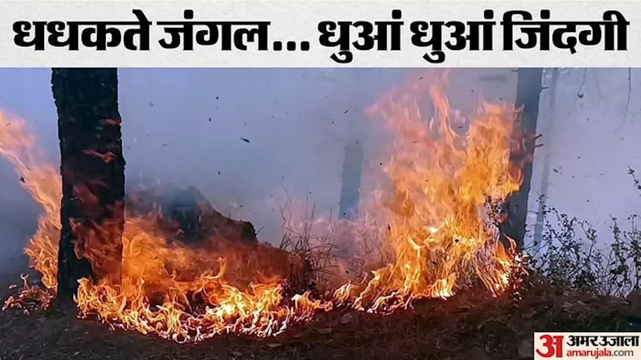 Nainital Forest Fire: फिर आग की चपेट में पर्यटन नगरी, 16 घंटे तक धधकते रहे नैनीताल के जंगल; देखें तस्वीरें