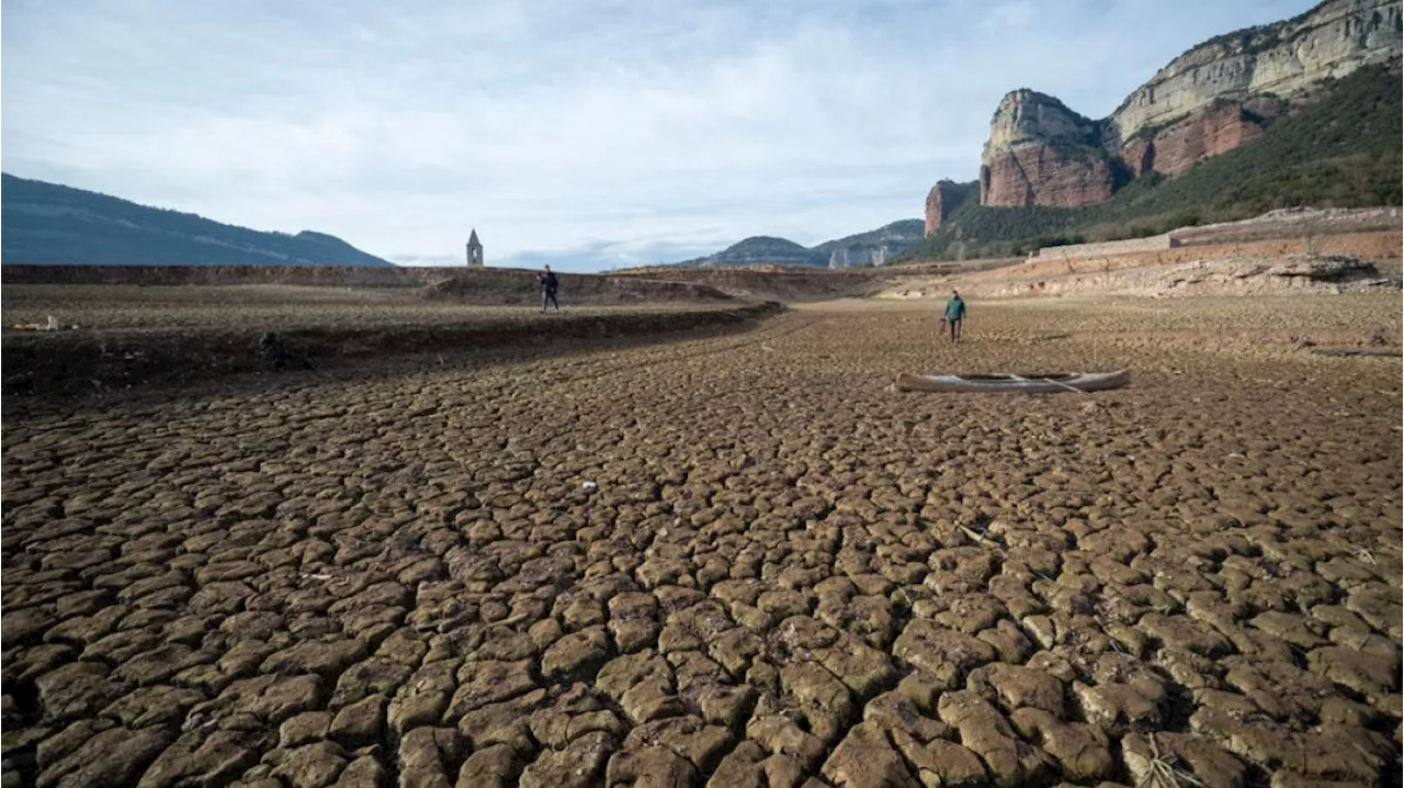 Ethikrat zum Klimawandel: 'Abwarten ist keine Option mehr'