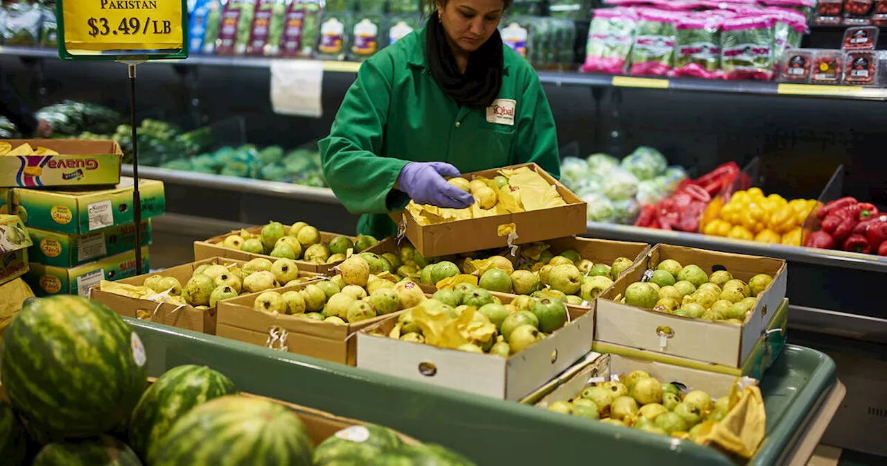 Middle Eastern grocery store opening two new Toronto locations