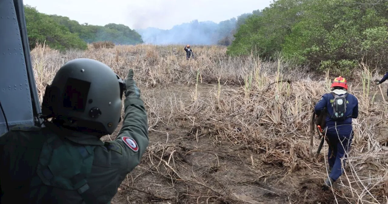 'El Gobierno debe hacer acciones preventivas ante incendio de Isla Salamanca': Alejandra Moreno