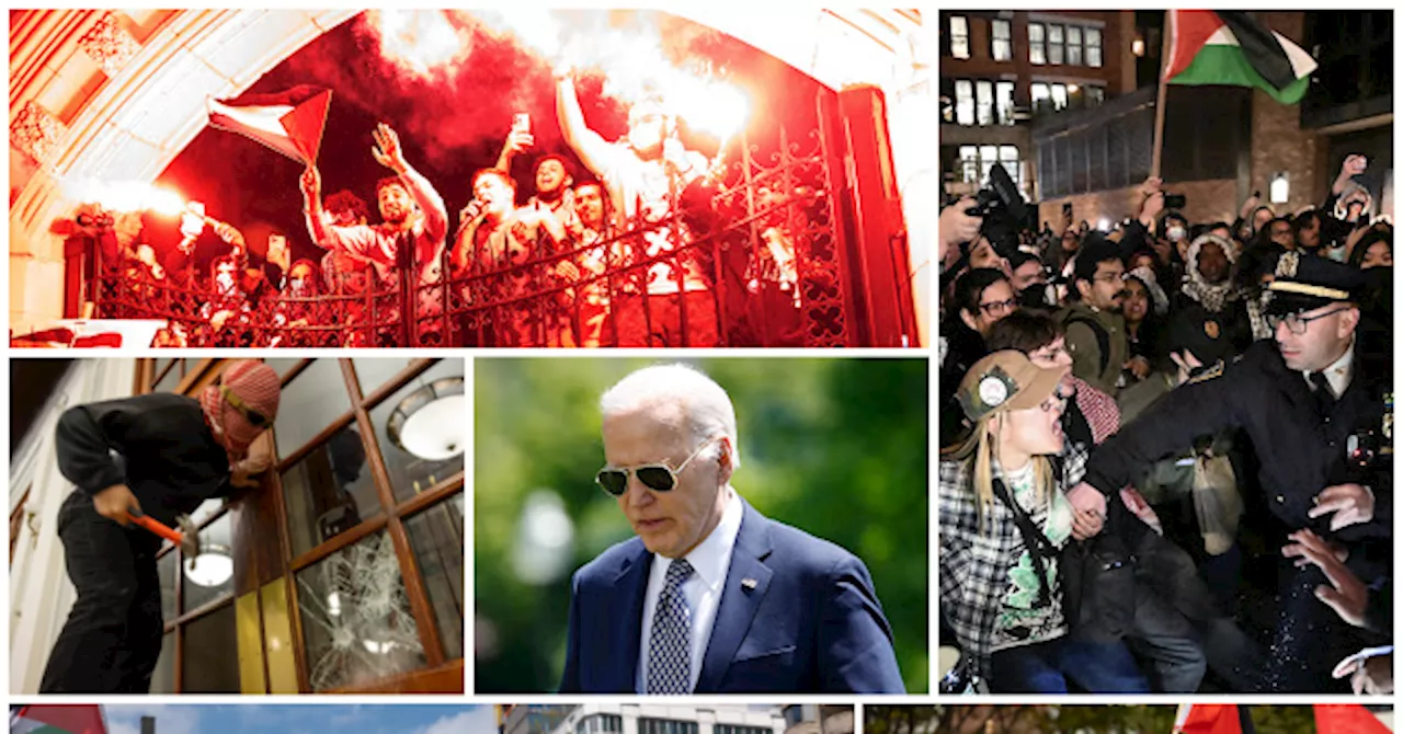 Biden Campaign: Biden ‘Believes in What These Protesters Are Saying’ and Doesn’t Accept Violence, Antisemitism