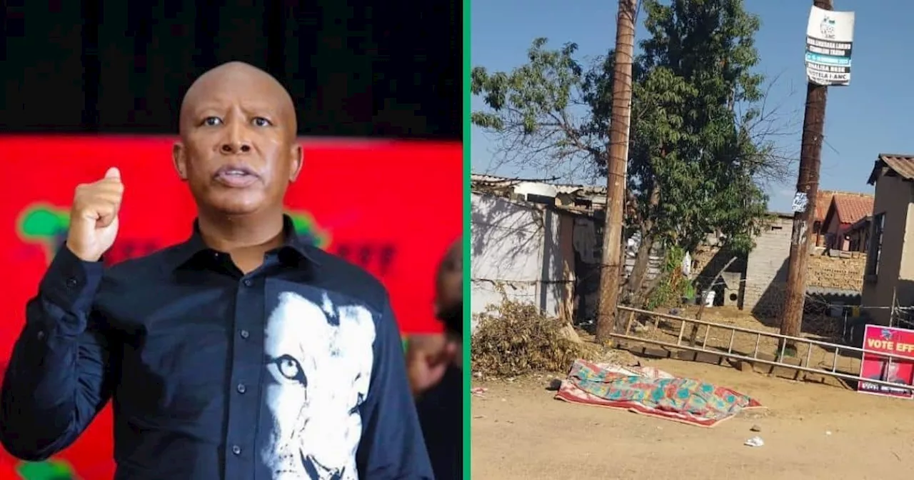 EFF Leader Julius Malema Mourns Loss of Supporter Electrocuted While Installing Posters