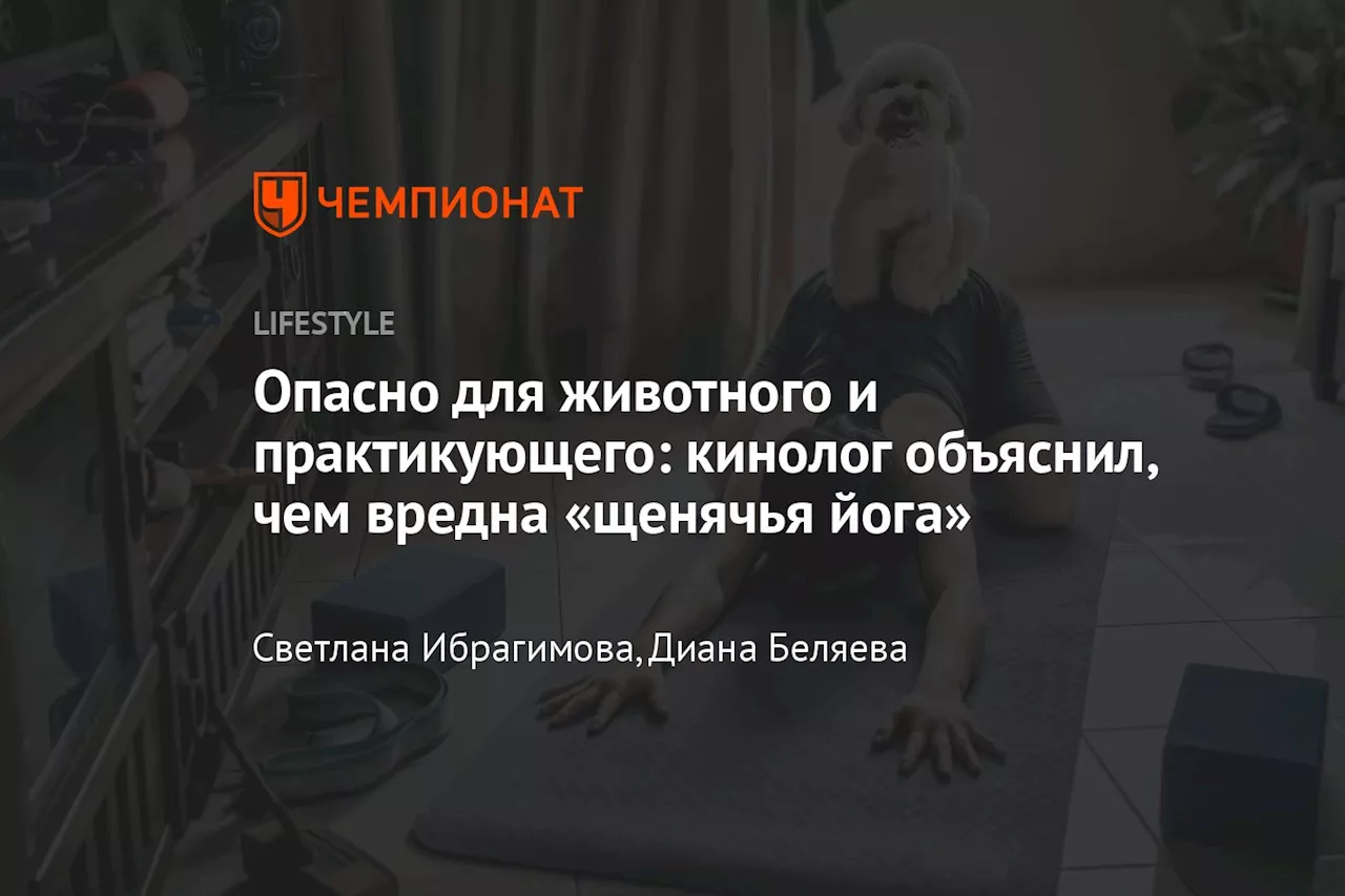 Опасно для животного и практикующего: кинолог объяснил, чем вредна «щенячья йога»