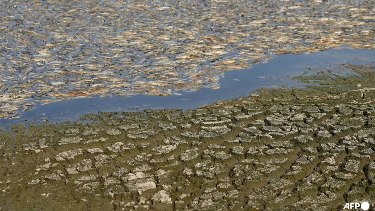 Vietnam temperature records tumble as heatwave scorches South and Southeast Asia