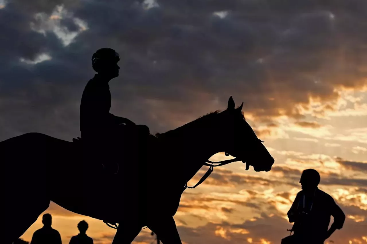 Mystik Dan Wins 150th Kentucky Derby By A Nose In A 3-horse Photo ...