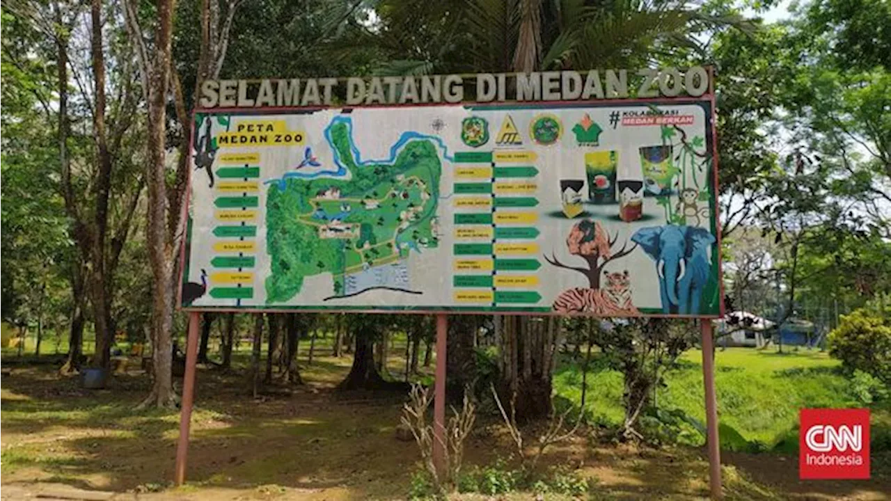 Medan Zoo Dikabarkan Alami Kriris Pakan untuk Satwa