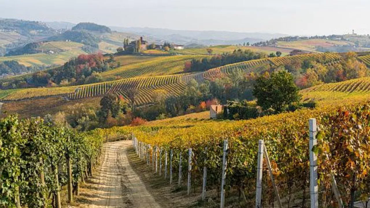 La primavera in Piemonte, dall'Alba di vini e tartufi alle cappelle del Lago d'Orta