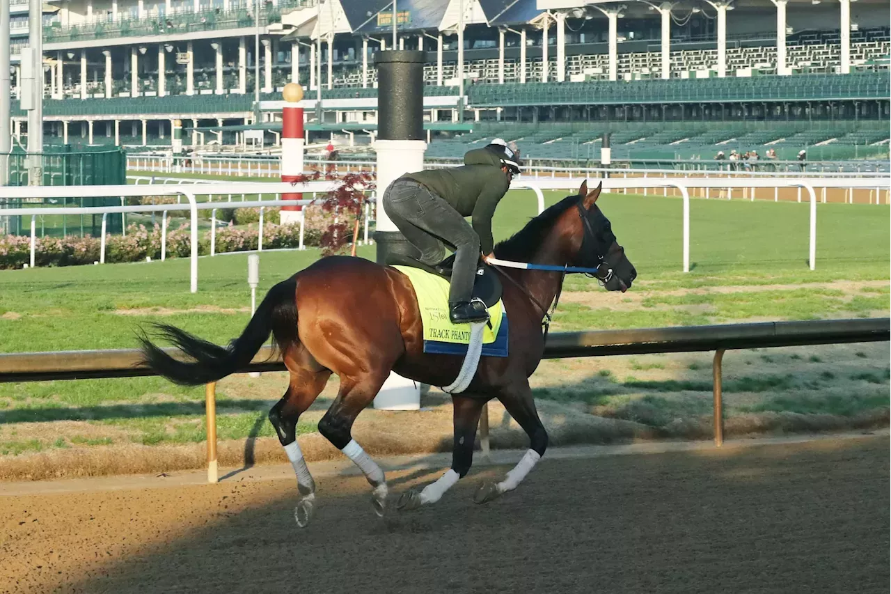 Kentucky Derby Odds Favorite Horses and Contenders for 2024 United