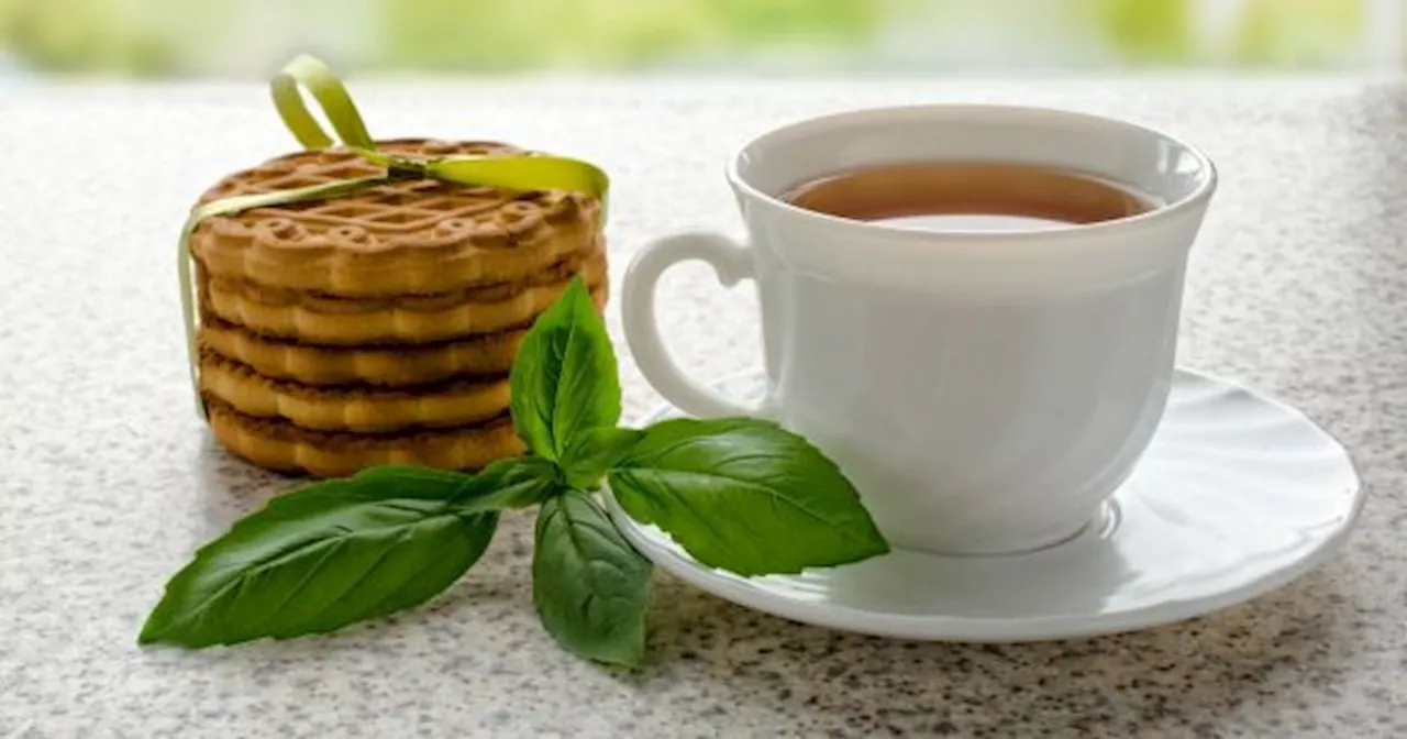 Te sorprenderá saber cómo cambiará tu cuerpo con solo tomar TÉ DE ALBAHACA todos los días