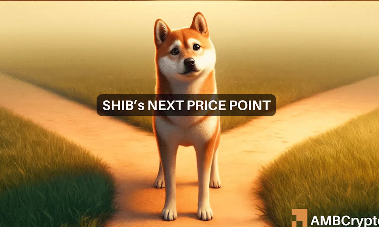 Decoding Shiba Inu’s descending triangle – Is an 18% price drop coming next?