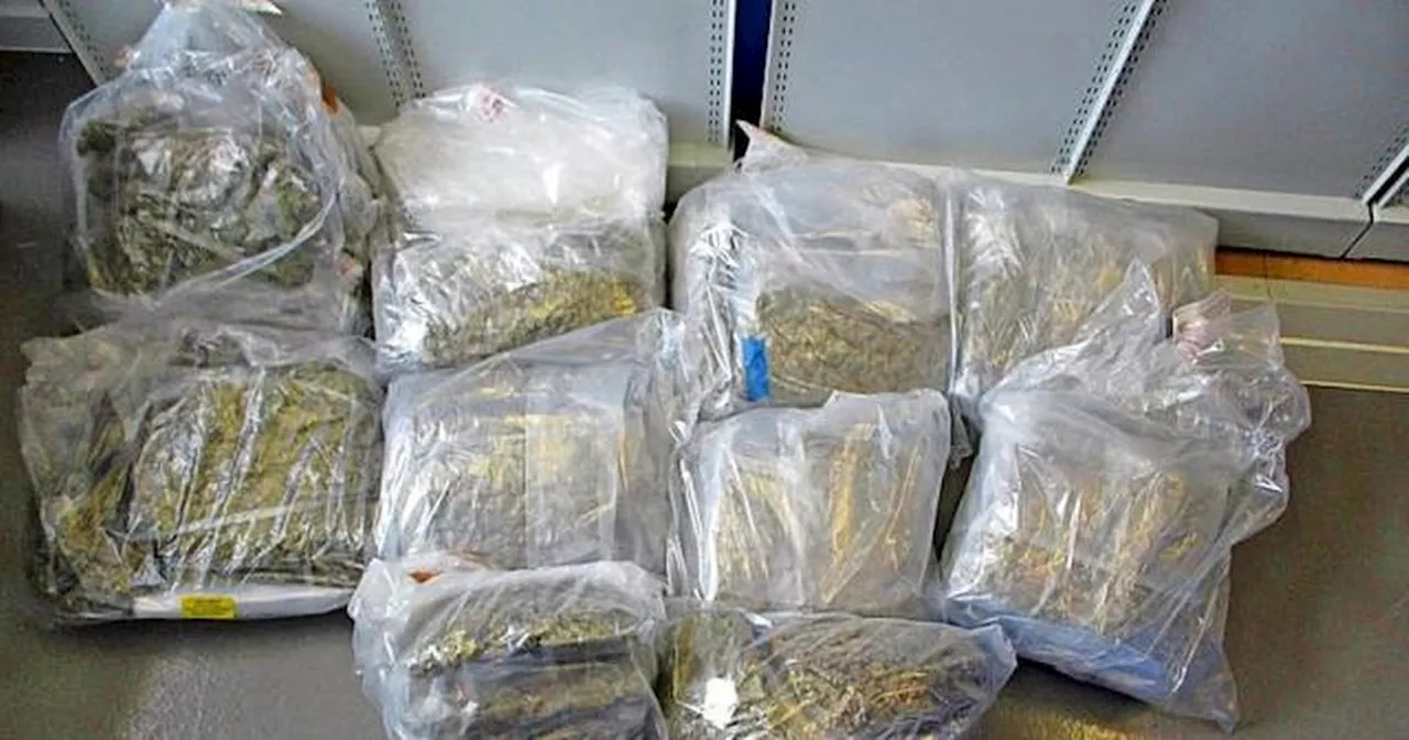 Drugs smuggler caught at Glasgow Airport with £60k cannabis haul in suitcase