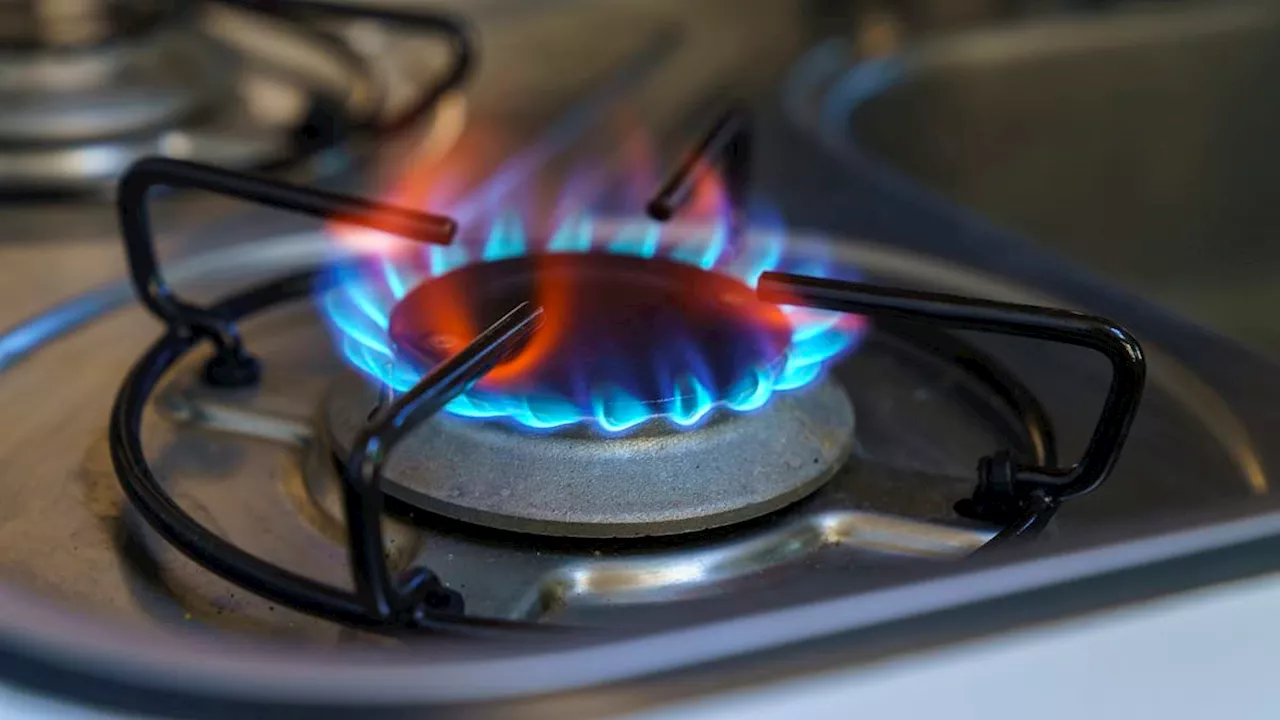 Gas and propane stoves linked to 50,000 cases of childhood asthma, study finds