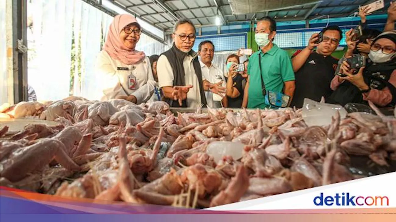 Potret Mendag Zulhas Tinjau Rumah Potong Hewan di Jaktim