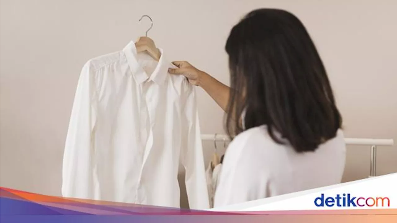 Tak Banyak yang Tahu, Merek Polo di RI Ternyata Lebih dari Satu