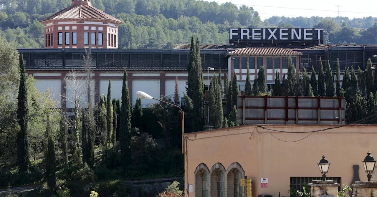 Grupo Freixenet y sindicatos acuerdan un ERTE por la sequía entre mayo y diciembre