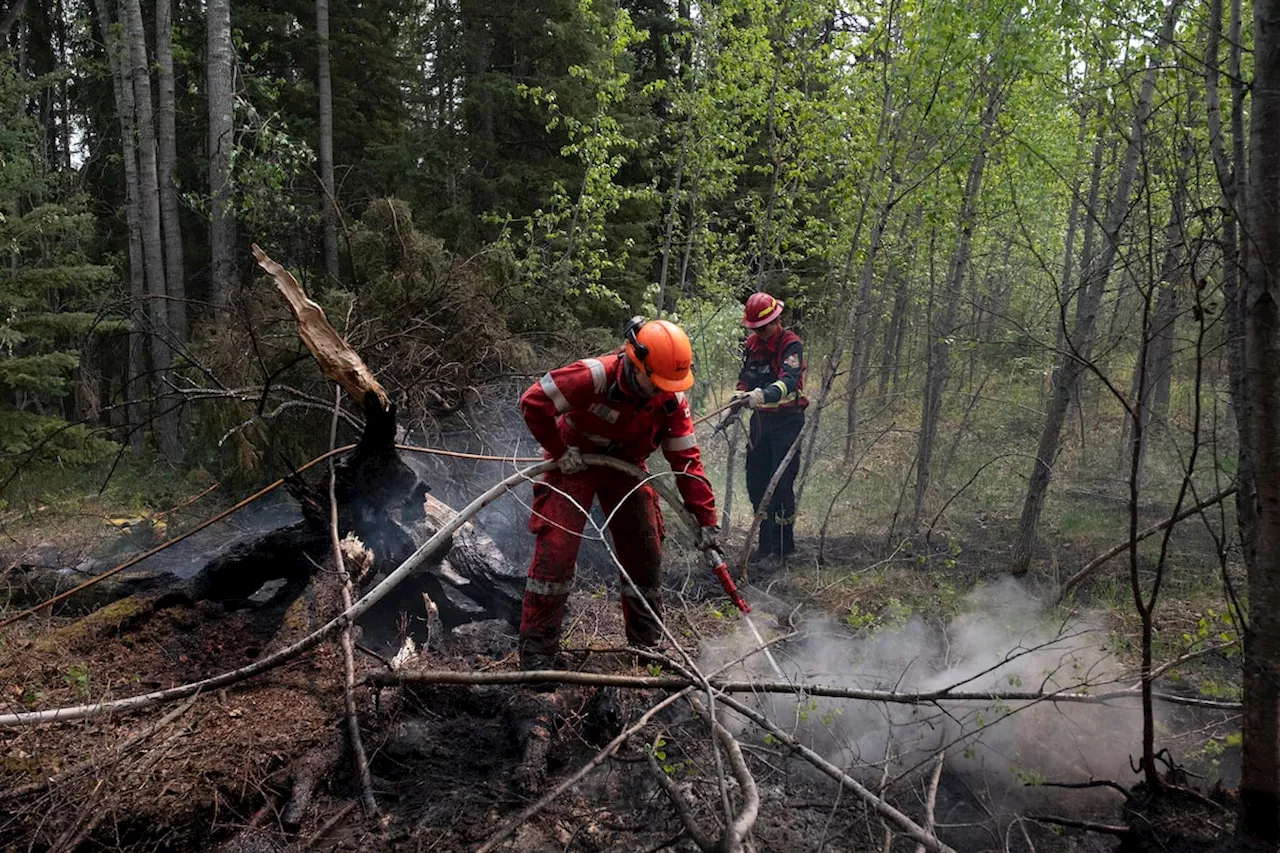 Wildland firefighters call for change on frontlines of forest fire fight as season ramps up