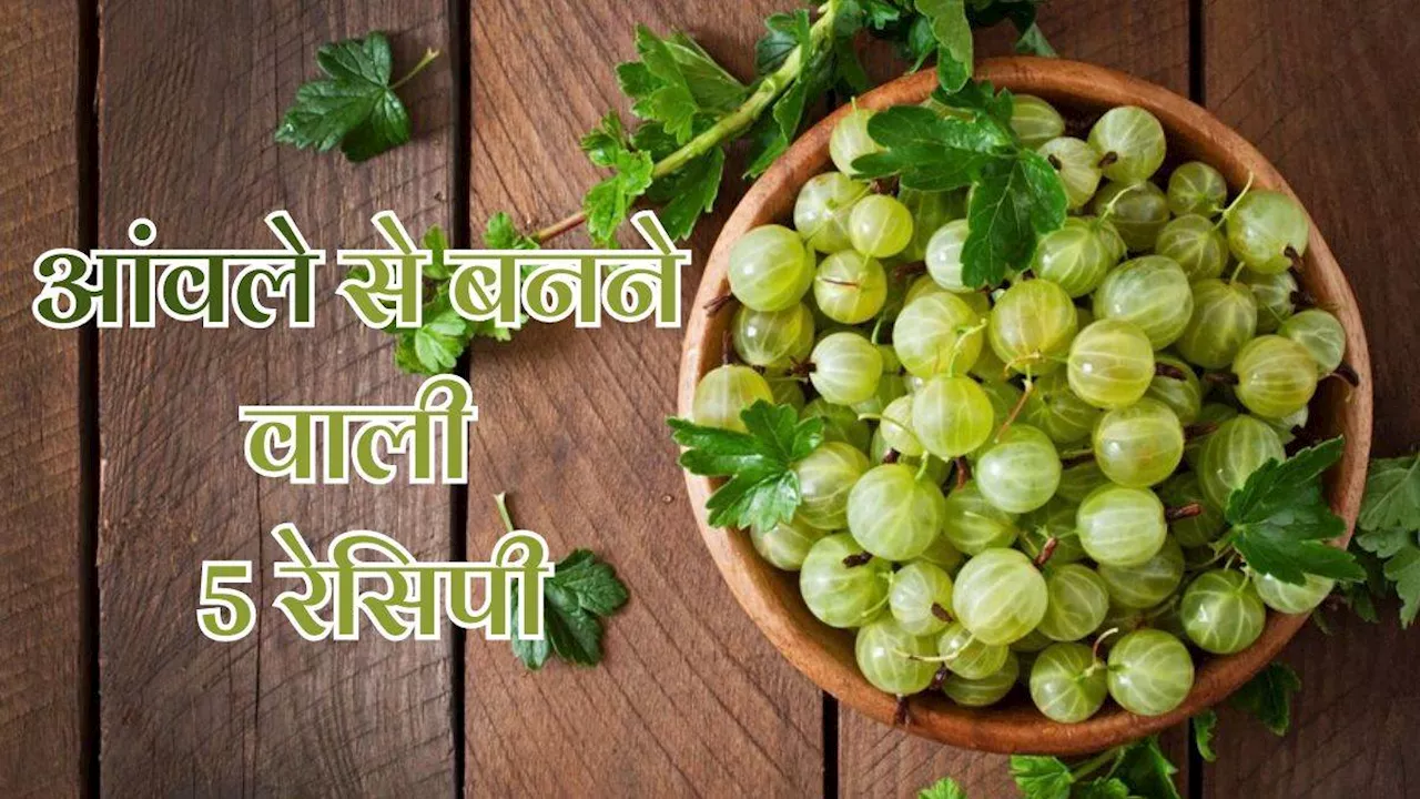 Amla Recipes: गर्मियों में शरीर को ठंडा रखेगा आंवला, इन 5 तरीकों से बनाएं इसे डाइट का हिस्सा