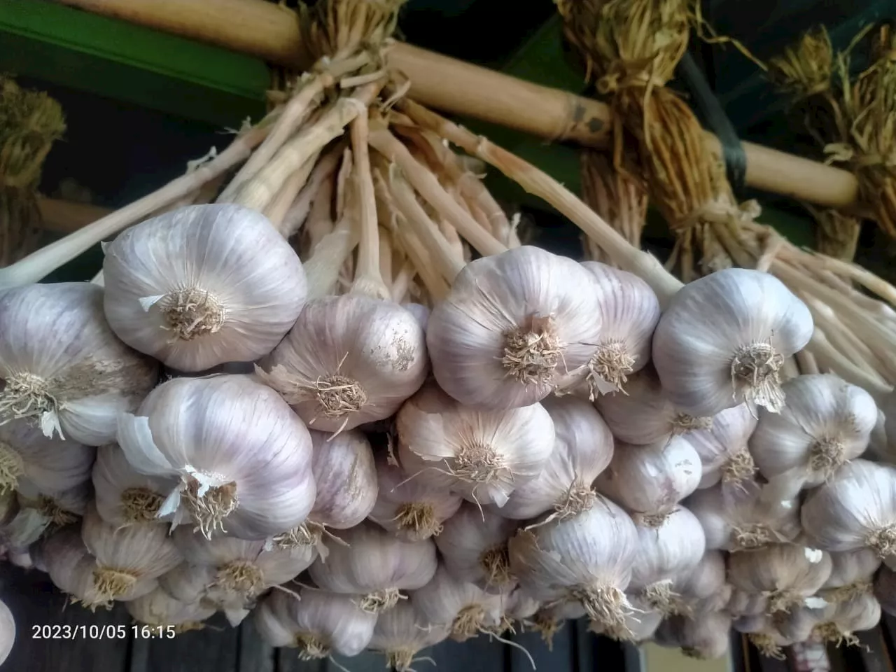 Gelar Evaluasi dan Asistensi, Kementan Siap Kawal Program Wajib Tanam Bawang Putih