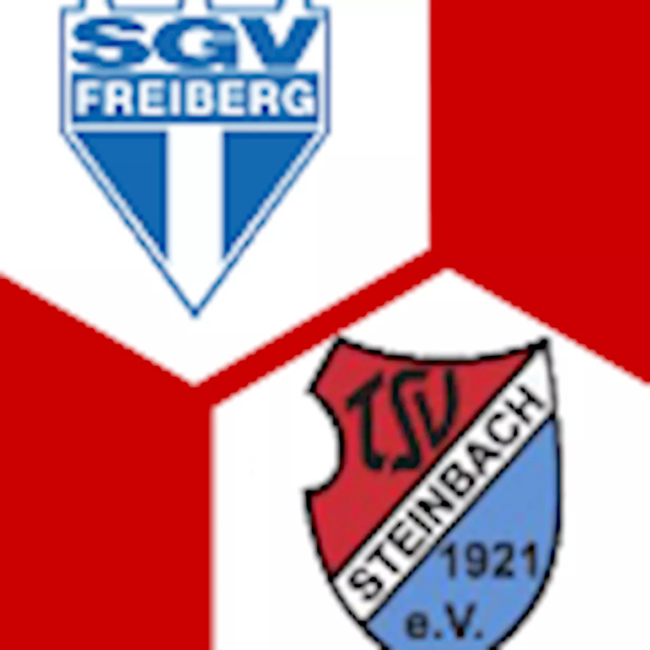  TSV Steinbach Haiger : | 32. Spieltag | Regionalliga Südwest 2023/24