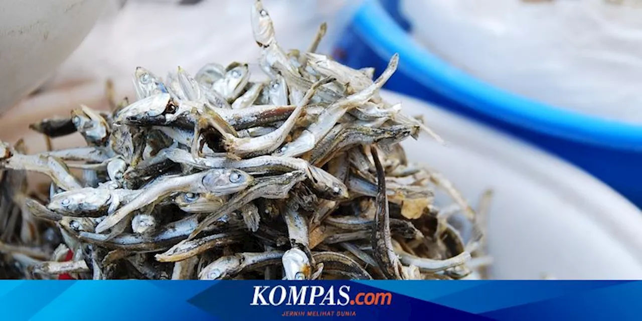 7 Manfaat Ikan Teri, Menyehatkan Mata dan Membantu Diet