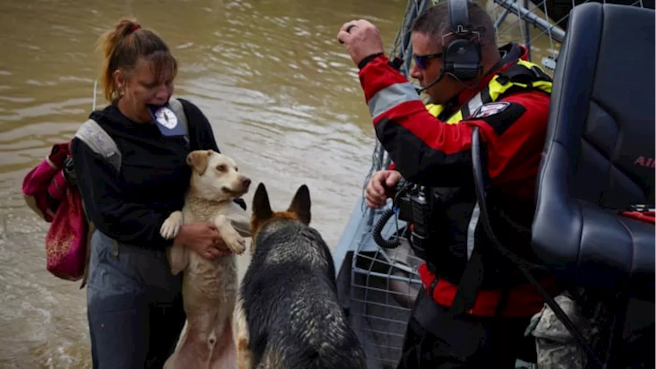 Harris County Sheriff’s Office rescues 10 adults and 4 dogs in Channelview from flooding