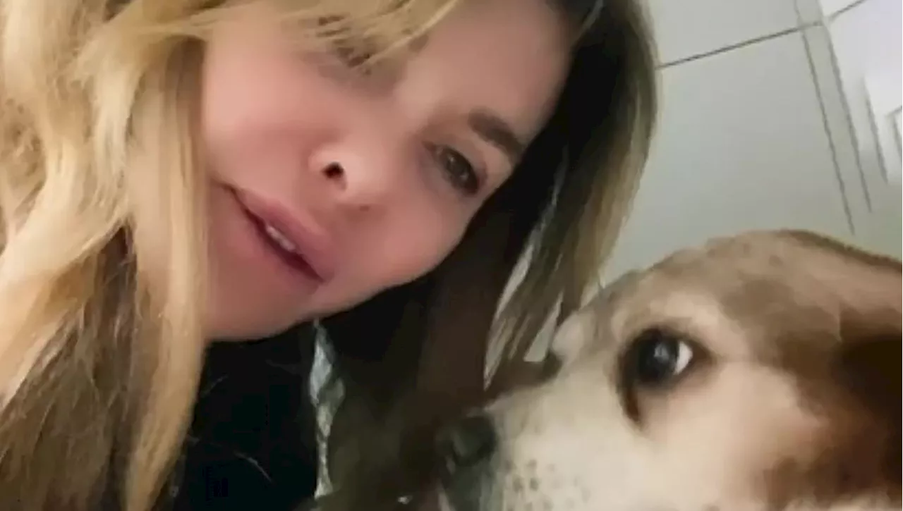 Aggredito il cane Venghi di Alba Parietti, lo sfogo: 'Una scena sconvolgente. Rispettate la vita'