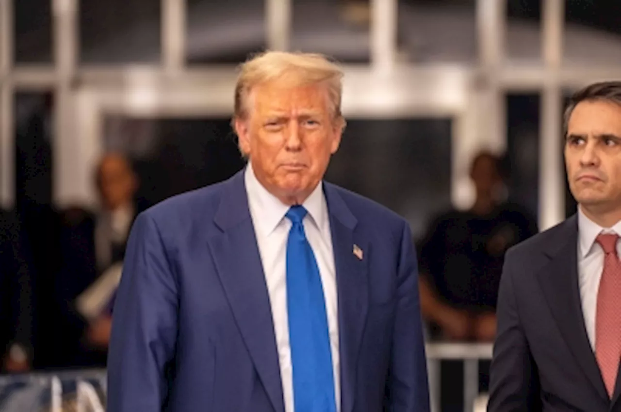 Taiwan will have Trump’s support if he wins, ex-appointee says
