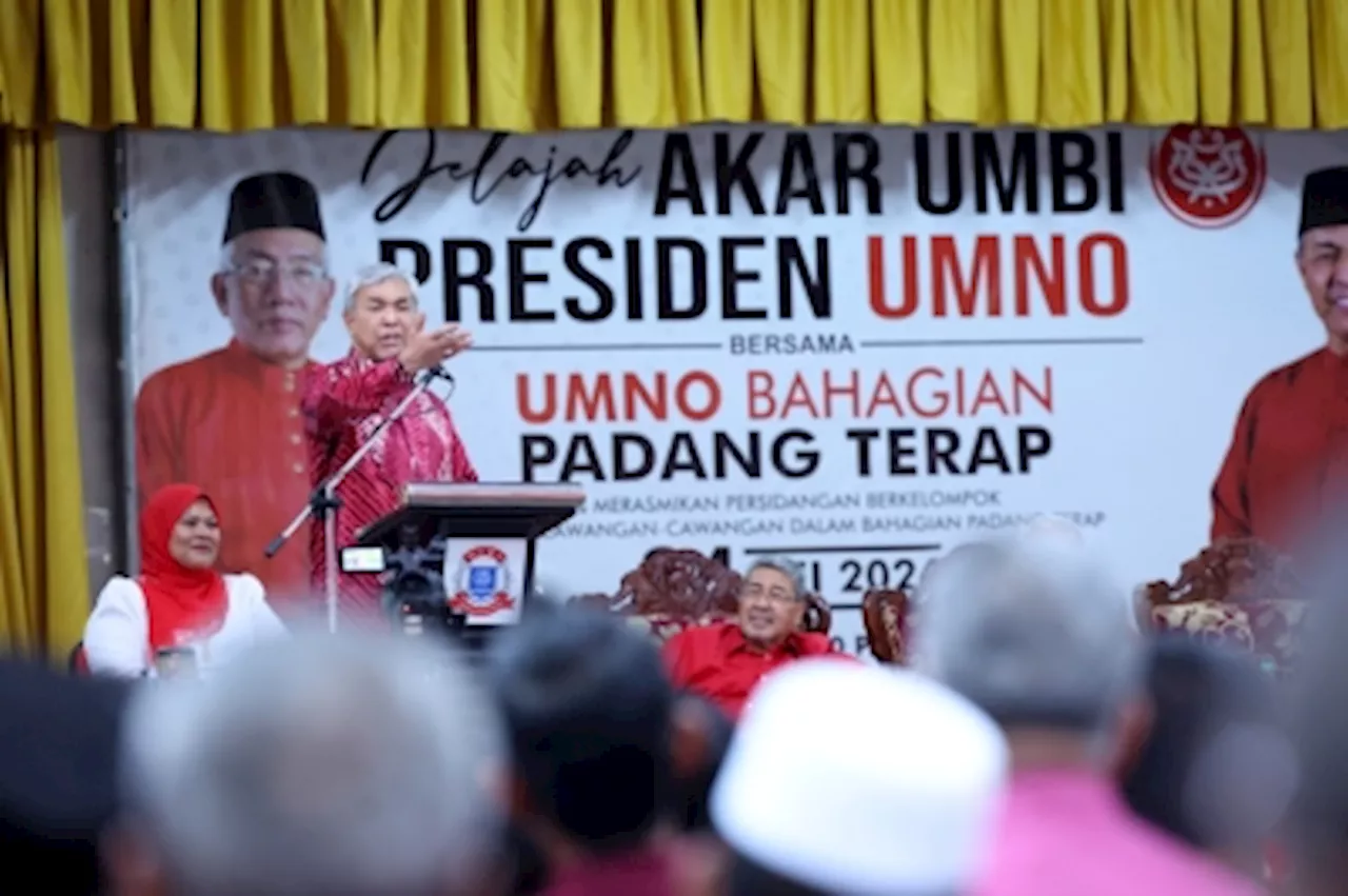 Umno committed to upholding unity govt amidst challenges against PM Anwar, says Zahid