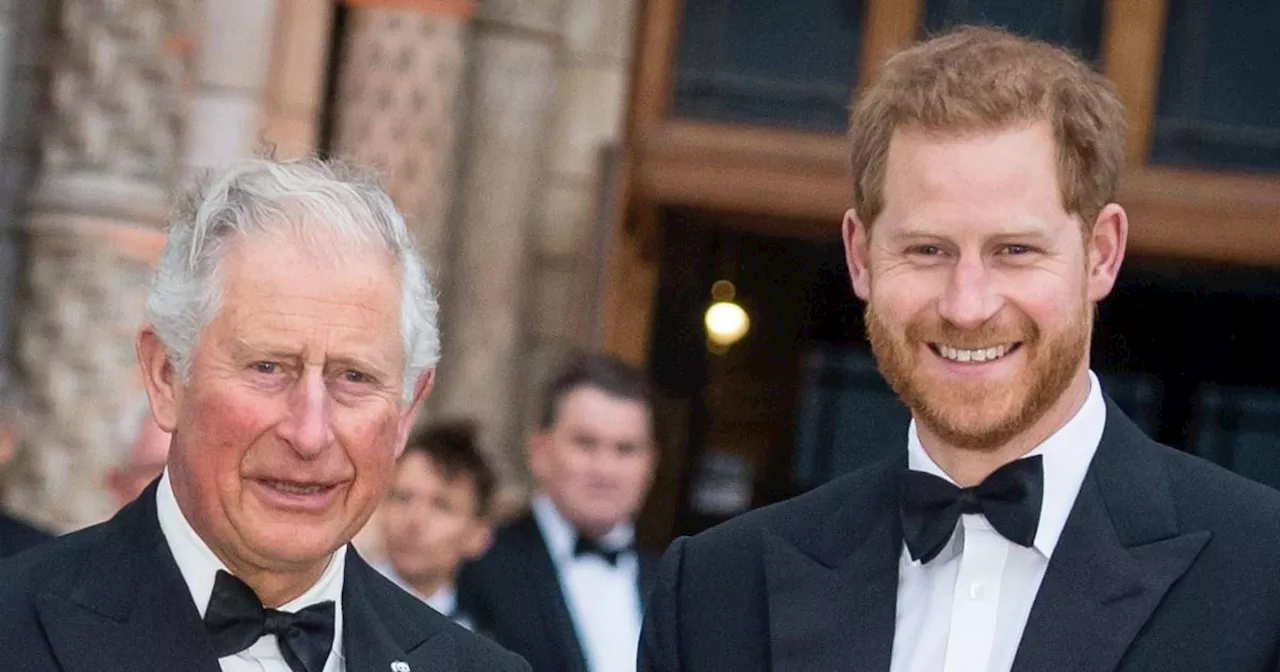 Prince Harry to meet King Charles again after cancer diagnosis 'next week'