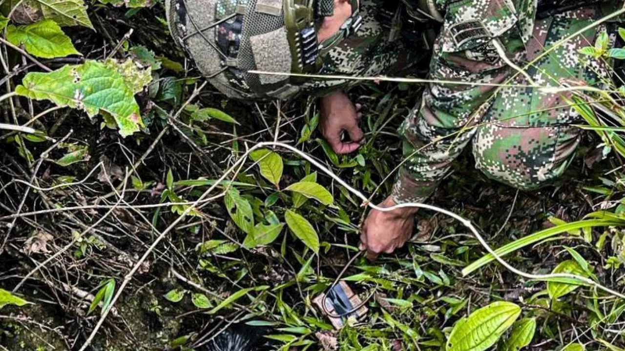 Ejército Nacional evita ataque terrorista en Anorí, Antioquia