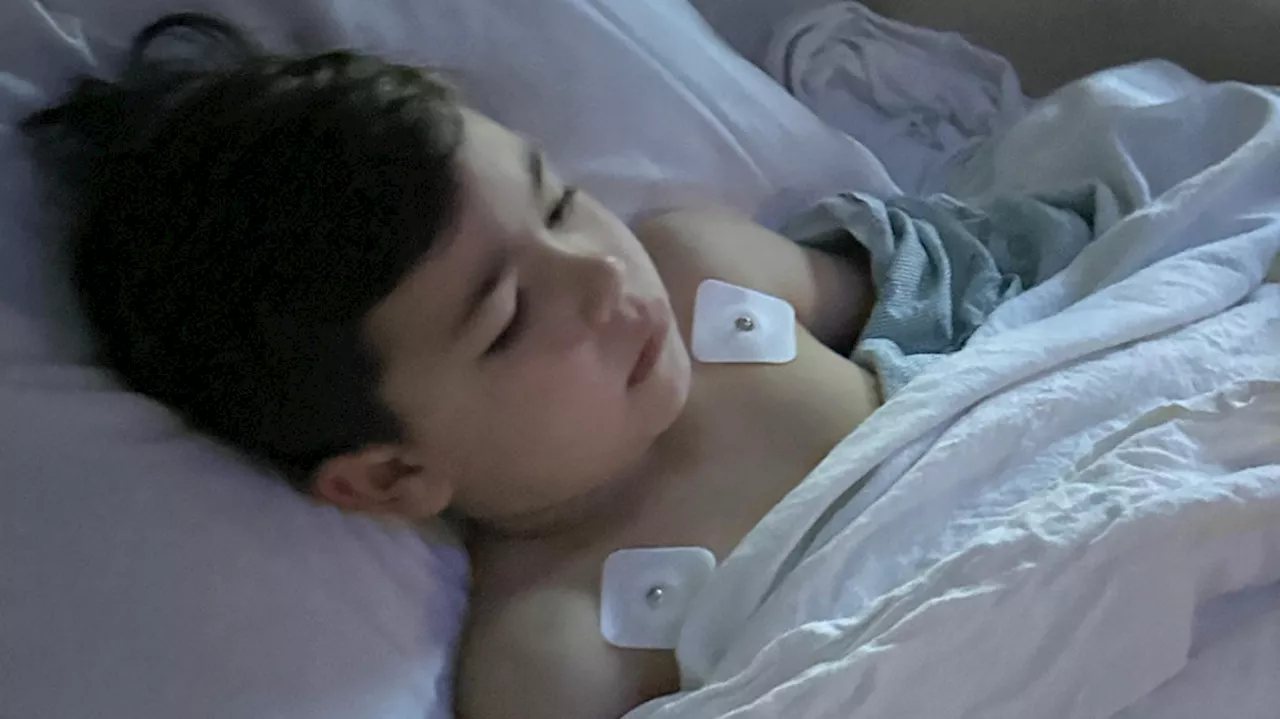 Dogs previously removed by Mobile Co. judge's court order attack 6-year-old boy