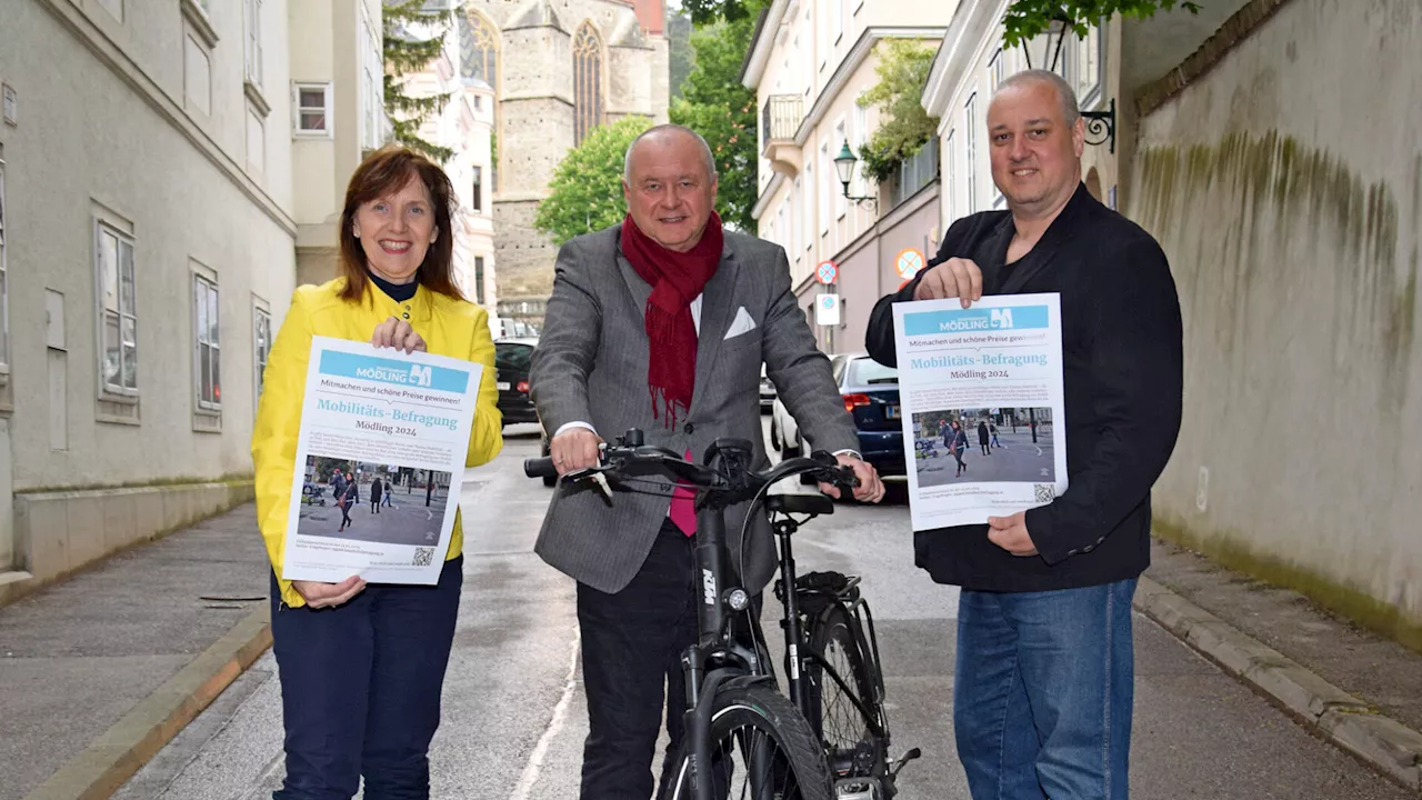 Mödling streckt die Verkehrspolitik-Fühler aus