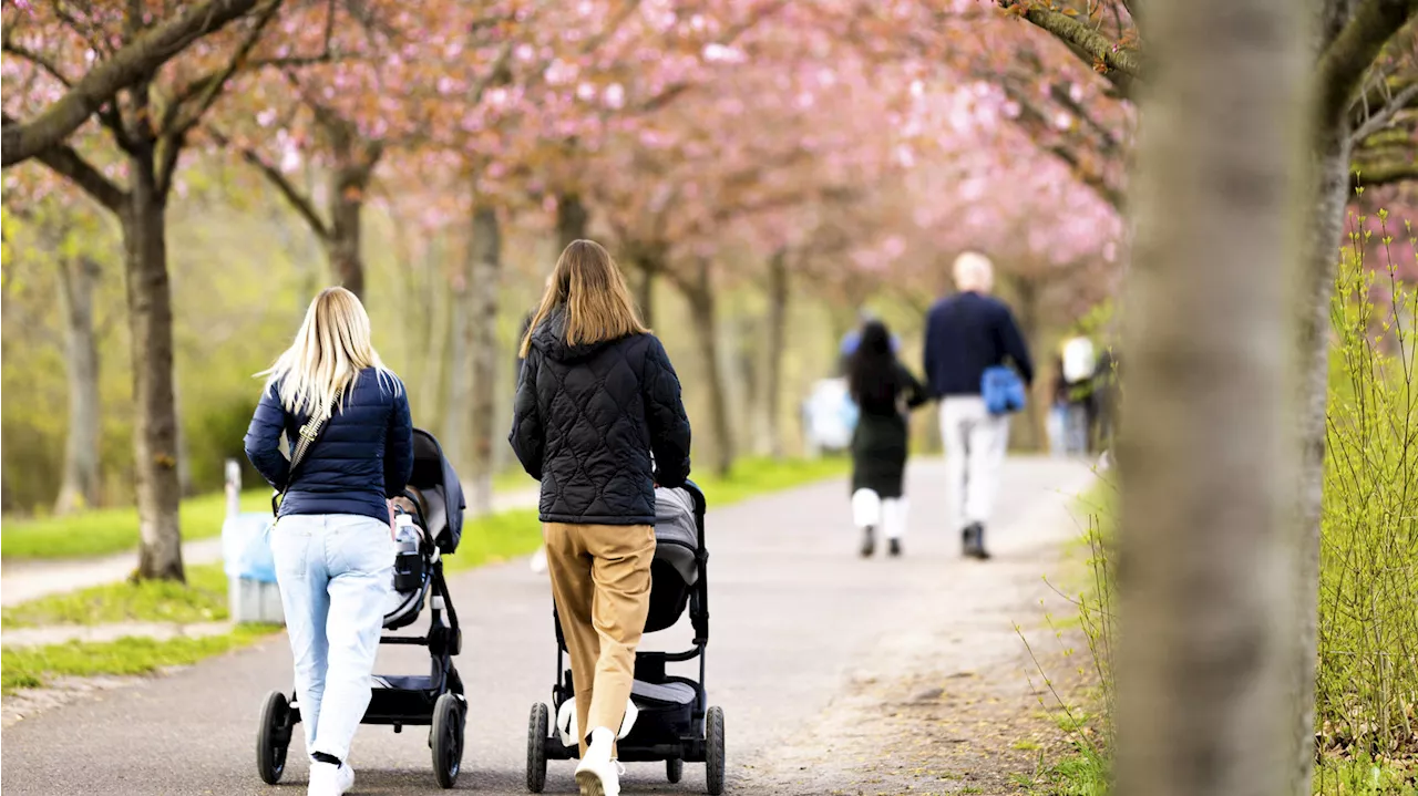 Wetter an Ostern 2023: Sonniger Osterspaziergang oder Eiersuche im Schnee? So werden die Feiertage