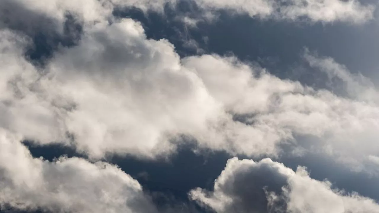 Wetter: Viel Regen mit einzelnen Gewittern in Bayern