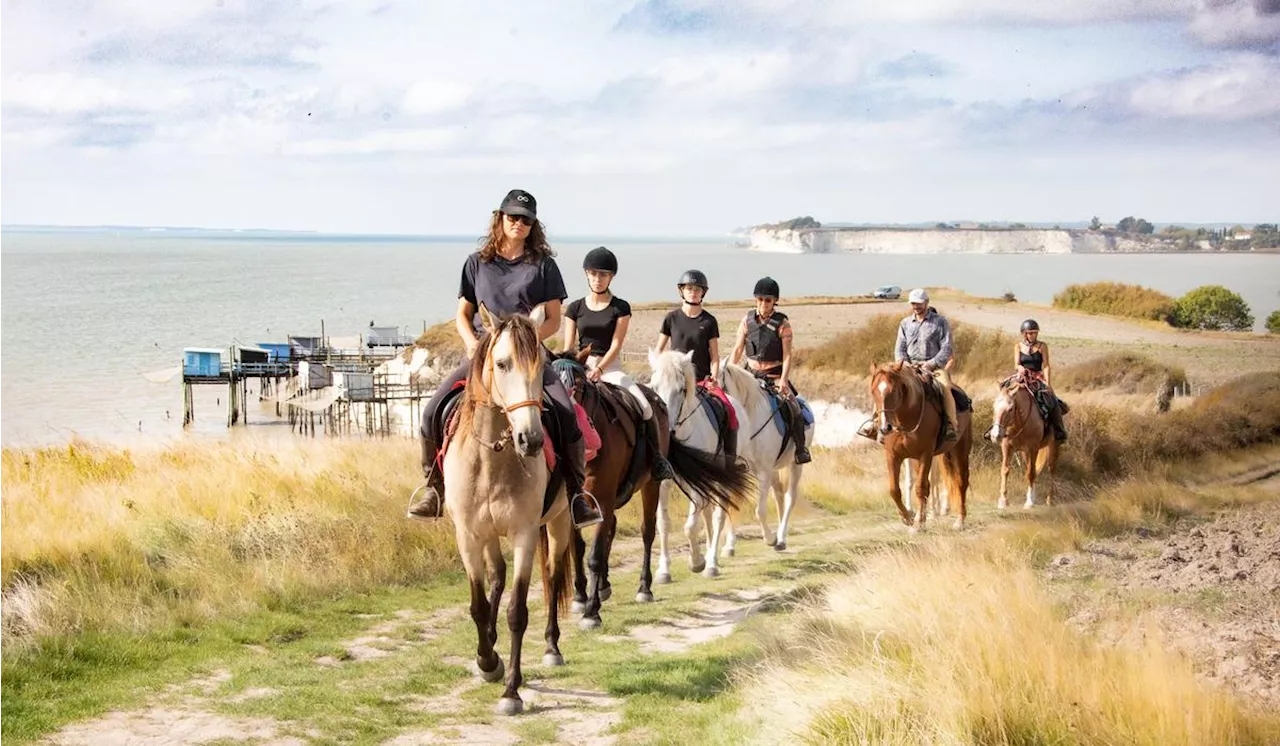 Charente-Maritime : Alter Équin pratique une équitation éthologique respectueuse du cheval