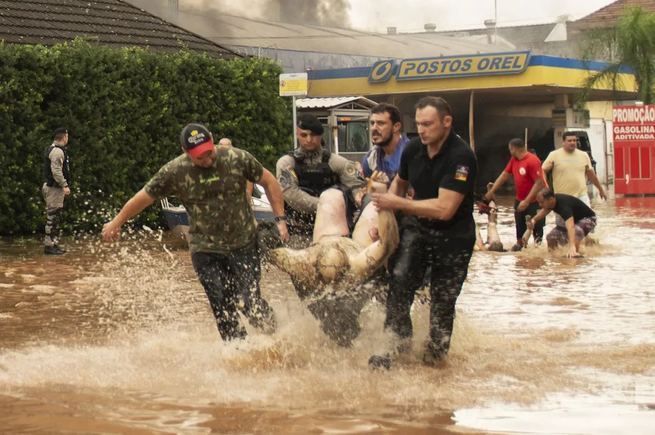 Inondations au Brésil : situation “dramatique”, près de 60 morts, l’eau monte encore à Porto Alegre